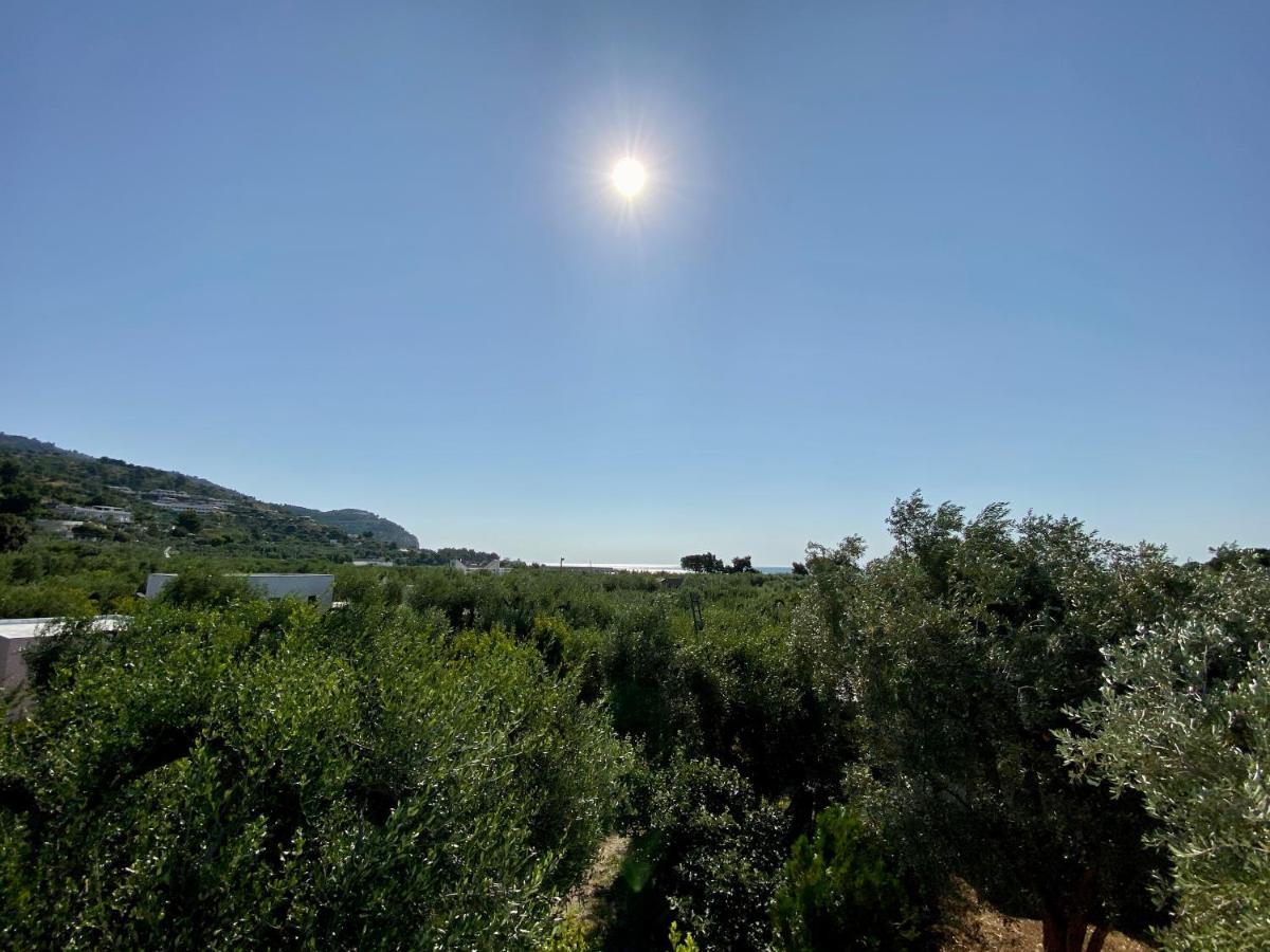 Villetta Pasquina Mattinata Buitenkant foto
